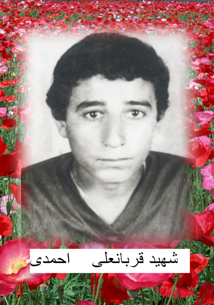 فاقد تصویر